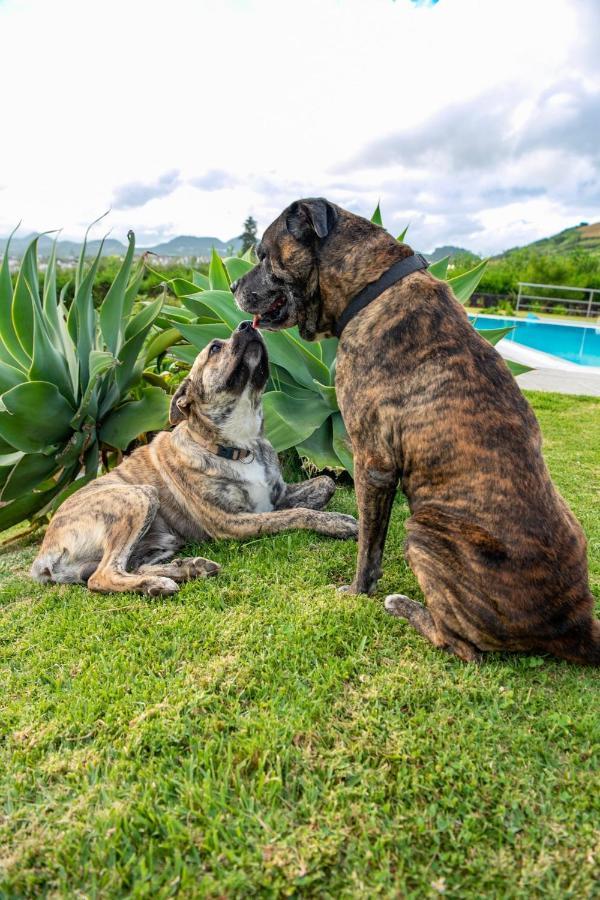 Casa Da Bela Vista Villa Lagoa  Dış mekan fotoğraf